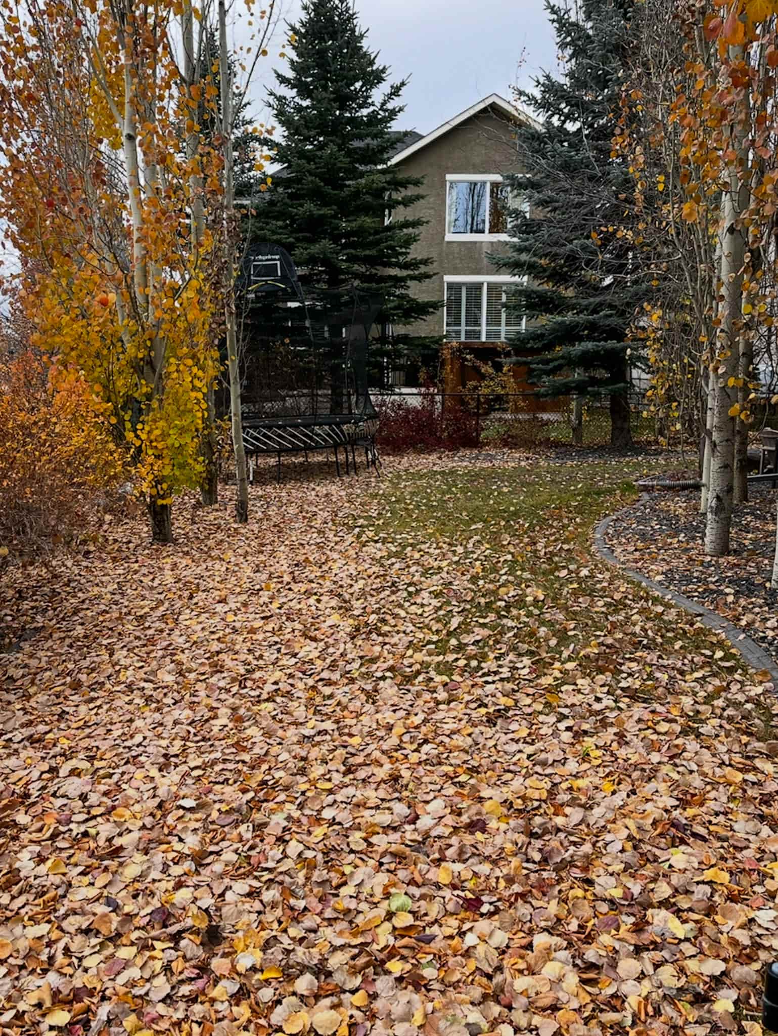 Spring & Fall Clean Ups