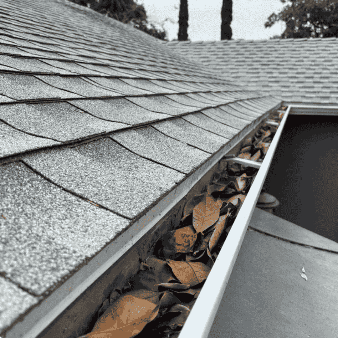 Gutter Cleaning